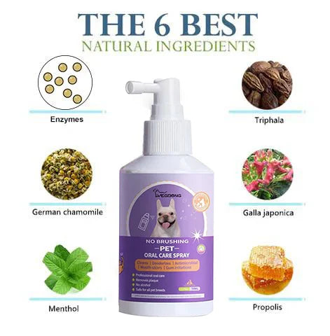 🔥HOT SALE PROMOTION - 49% OFF🔥Teeth Cleaning Spray for Dogs & Cats