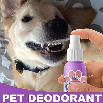 🔥HOT SALE PROMOTION - 49% OFF🔥Teeth Cleaning Spray for Dogs & Cats